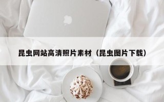 天门昆虫网站高清照片素材(昆虫图片下载) 天门昆虫网站高清照片素材(昆虫图片下载)